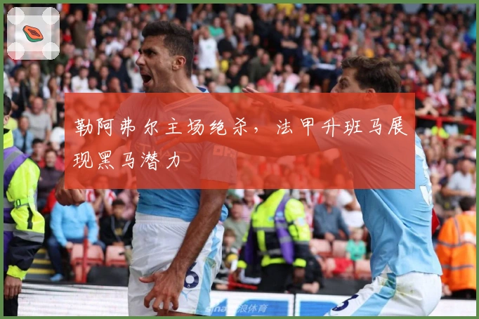 勒阿弗尔主场绝杀，法甲升班马展现黑马潜力