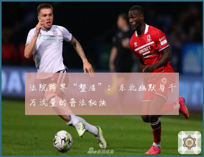 法院跨界“整活”：东北幽默与千万流量的普法秘诀